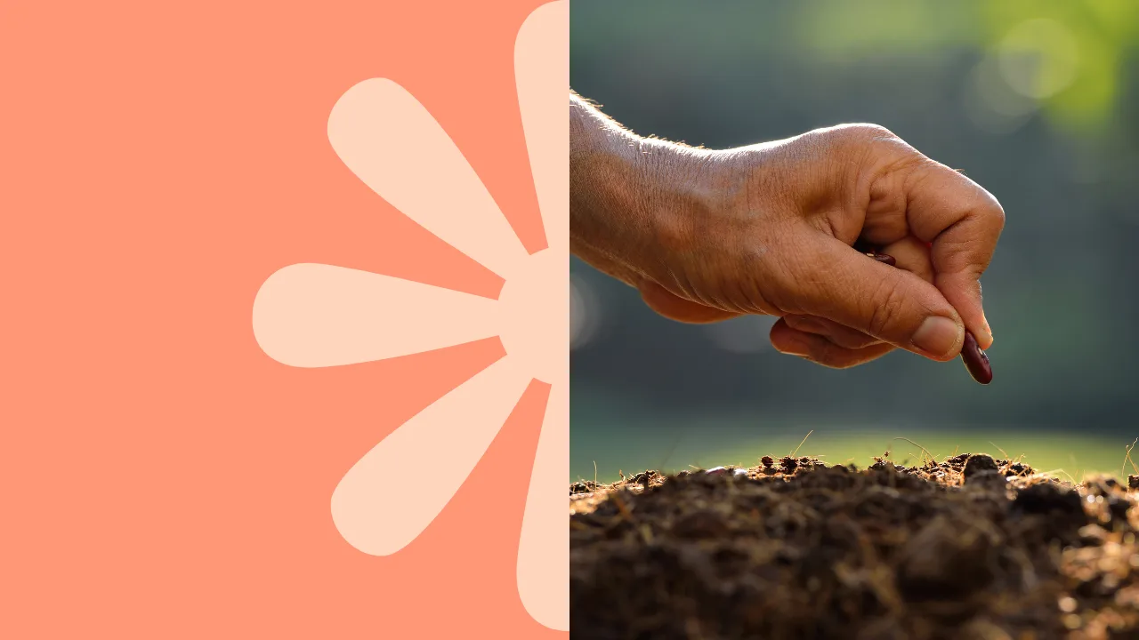 Understanding Super contributions